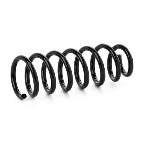 Ridex 188C0860 Coil Spring, photo 2