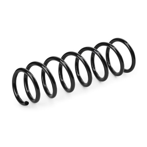 Ridex 188C0865 Coil Spring, photo 3