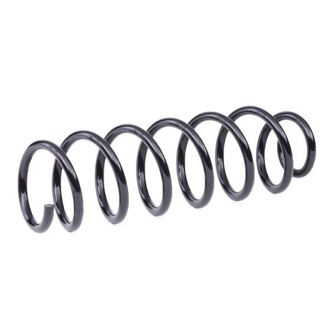 Ridex 188C0867 Coil Spring, photo 3