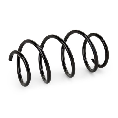 Ridex 188C0869 Coil Spring, photo 2