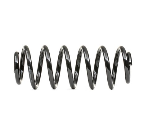 Ridex 188C0873 Coil Spring
