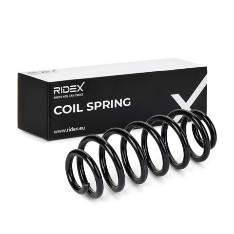 Ridex 188C0873 Coil Spring, photo 2