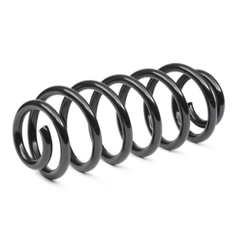 Ridex 188C0873 Coil Spring, photo 3