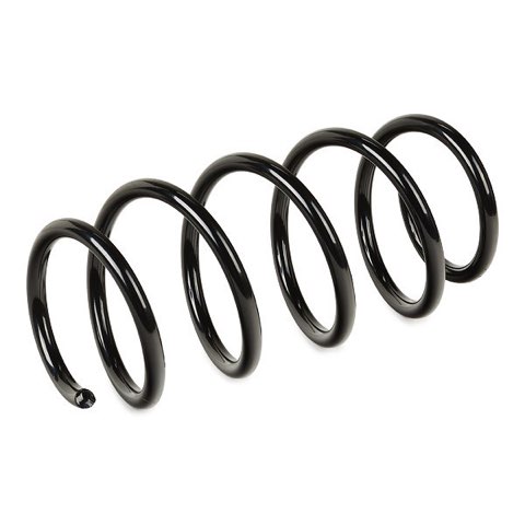Ridex 188C0877 Coil Spring, photo 3