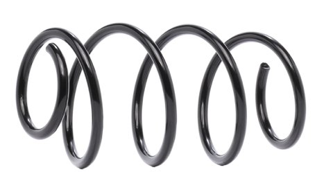 Ridex 188C0878 Coil Spring