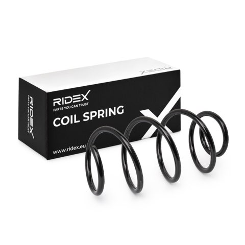 Ridex 188C0878 Coil Spring, photo 2