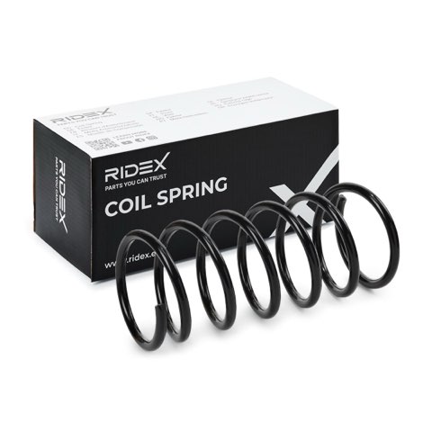 Ridex 188C0883 Coil Spring, photo 2