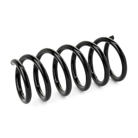 Ridex 188C0885 Coil Spring, photo 2