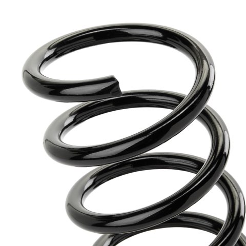 Ridex 188C0885 Coil Spring, photo 3