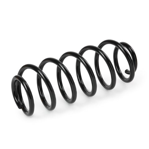 Ridex 188C0889 Coil Spring, photo 2