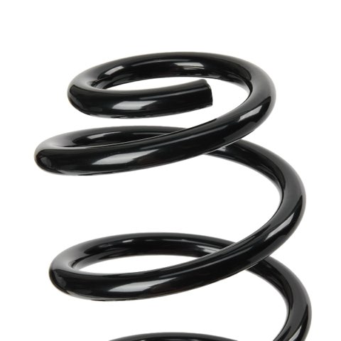 Ridex 188C0889 Coil Spring, photo 3