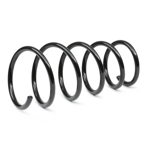 Ridex 188C0892 Coil Spring, photo 3