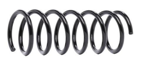 Ridex 188C0896 Coil Spring
