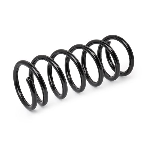 Ridex 188C0896 Coil Spring, photo 2