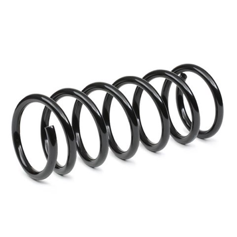 Ridex 188C0896 Coil Spring, photo 3