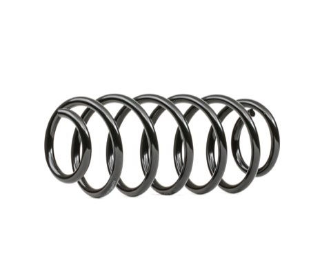 Ridex 188C0898 Coil Spring