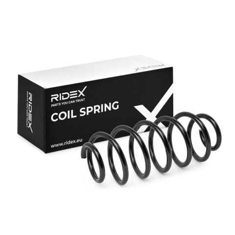 Ridex 188C0898 Coil Spring, photo 2
