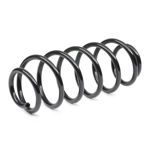 Ridex 188C0898 Coil Spring, photo 3