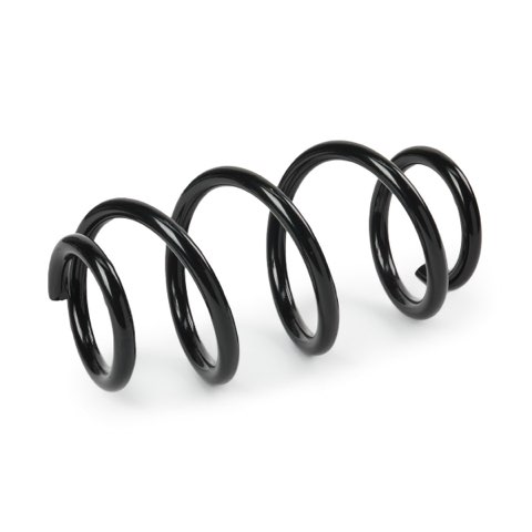 Ridex 188C0903 Coil Spring, photo 2