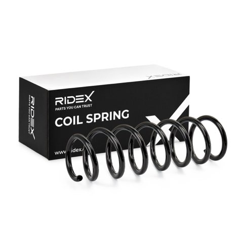 Ridex 188C0904 Coil Spring, photo 2