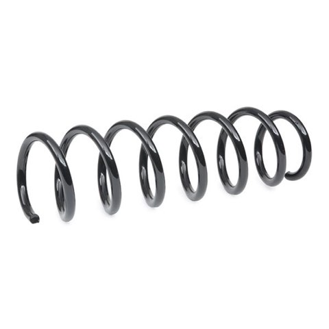 Ridex 188C0904 Coil Spring, photo 3