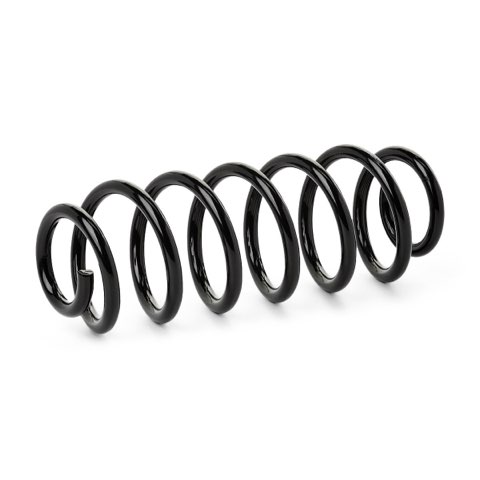 Ridex 188C0907 Coil Spring, photo 2