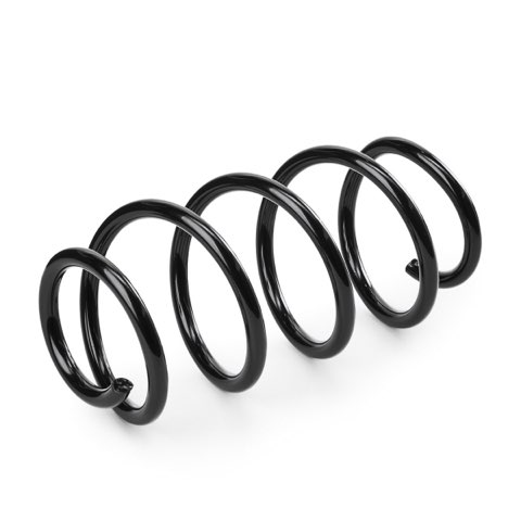 Ridex 188C0908 Coil Spring, photo 3