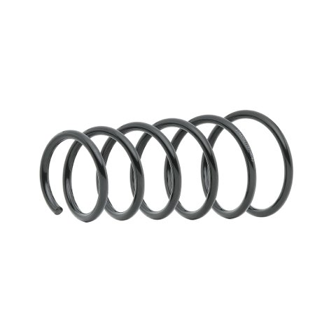 Ridex 188C0909 Coil Spring