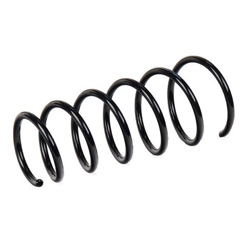 Ridex 188C0909 Coil Spring, photo 3