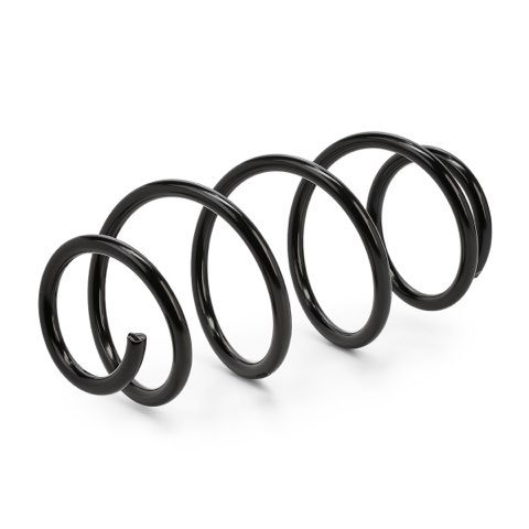 Ridex 188C0916 Coil Spring, photo 2