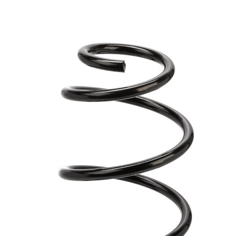 Ridex 188C0916 Coil Spring, photo 3