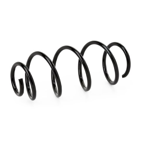 Ridex 188C0924 Coil Spring, photo 2