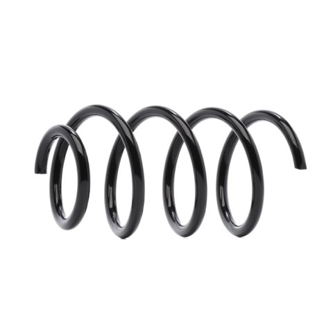 Ridex 188C0931 Coil Spring