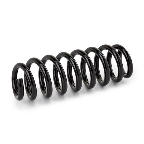 Ridex 188C0941 Coil Spring, photo 2
