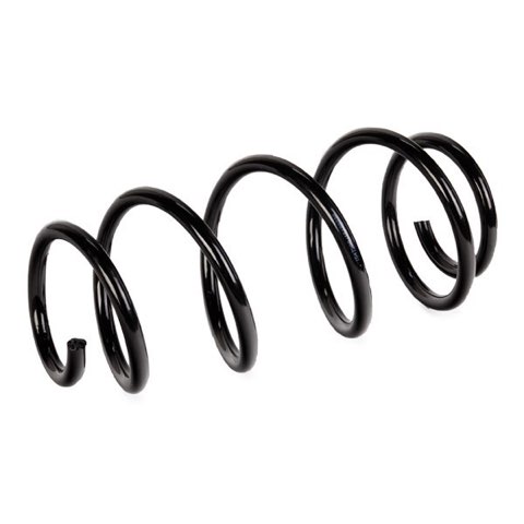 Ridex 188C0942 Coil Spring, photo 3