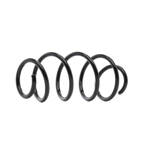 Ridex 188C0946 Coil Spring