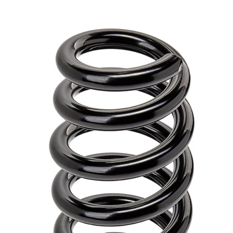 Ridex 188C0957 Coil Spring, photo 3
