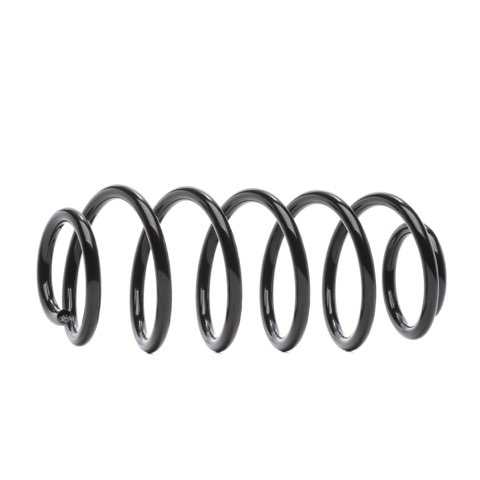 Ridex 188C0976 Coil Spring