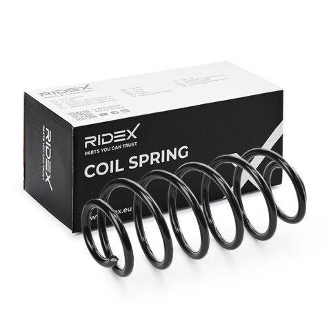 Ridex 188C0976 Coil Spring, photo 2