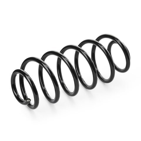 Ridex 188C0976 Coil Spring, photo 3