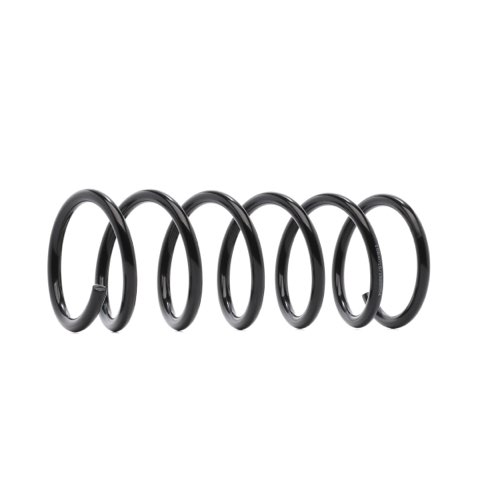 Ridex 188C0979 Coil Spring
