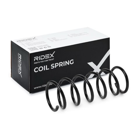Ridex 188C0979 Coil Spring, photo 2