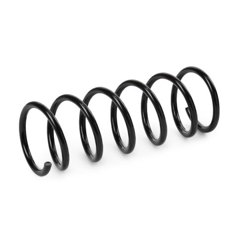 Ridex 188C0979 Coil Spring, photo 3