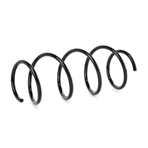 Ridex 188C0982 Coil Spring, photo 3