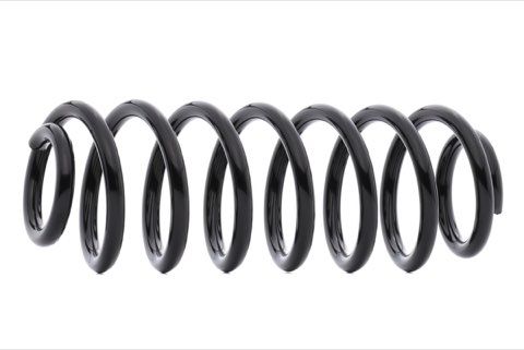 Ridex 188C0983 Coil Spring
