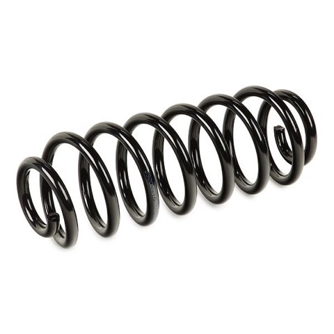 Ridex 188C0983 Coil Spring, photo 3