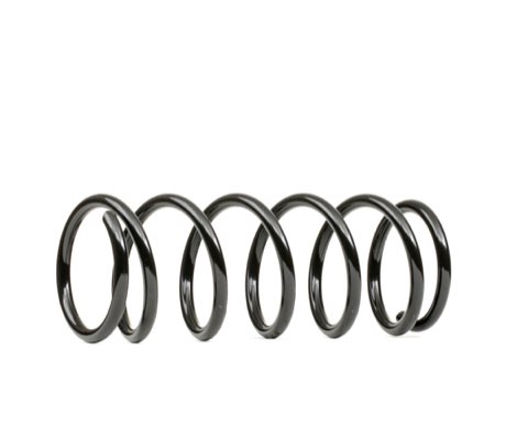 Ridex 188C1000 Coil Spring