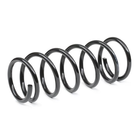 Ridex 188C1000 Coil Spring, photo 3