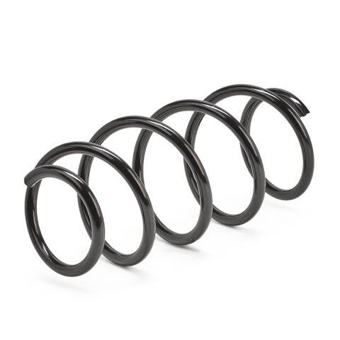 Ridex 188C1012 Coil Spring, photo 2