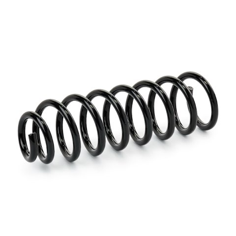 Ridex 188C1027 Coil Spring, photo 3